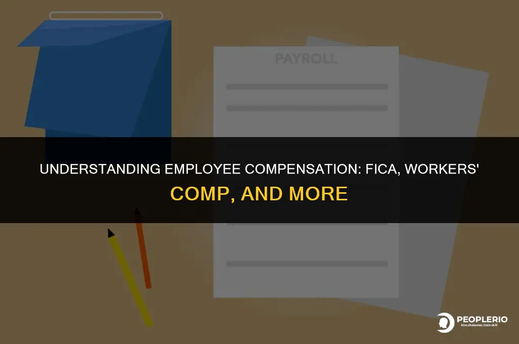 how much does paying employee workers compensation fica etc