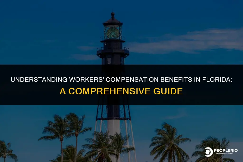how much does workers compensation pay in Florida