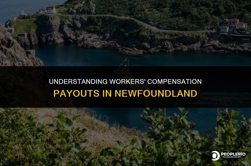 how much does workers compensation pay in newfoundland