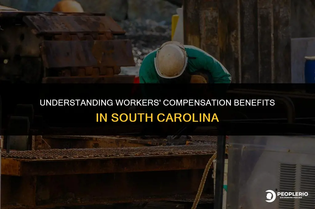 how much does workers compensation pay in sc