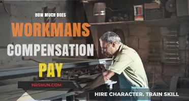Understanding Workman's Compensation: A Guide to Your Entitled Benefits