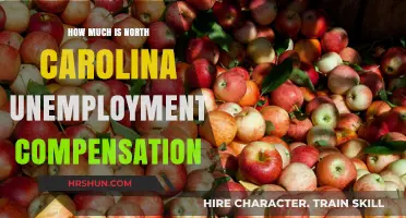 Understanding North Carolina Unemployment Compensation: A Complete Guide