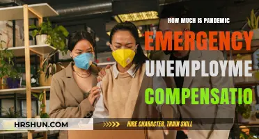 Understanding Pandemic Emergency Unemployment Compensation: A Complete Guide