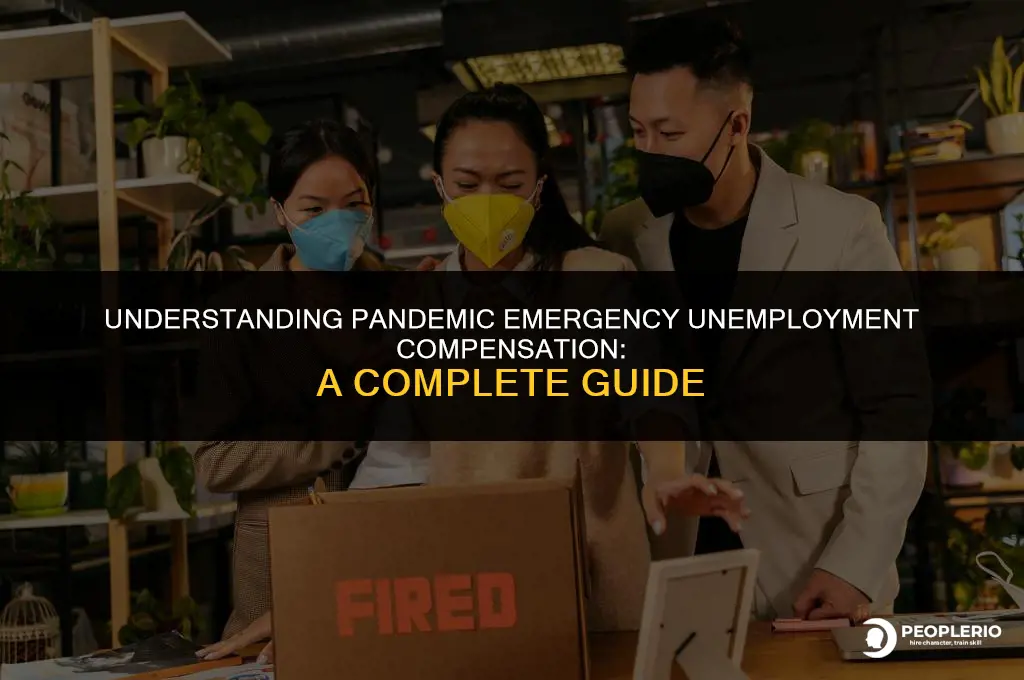 how much is pandemic emergency unemployment compensation