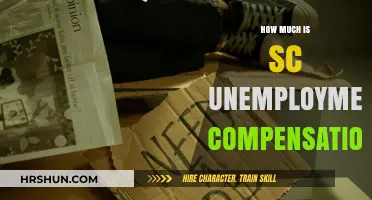 Understanding South Carolina Unemployment Compensation: A Complete Guide