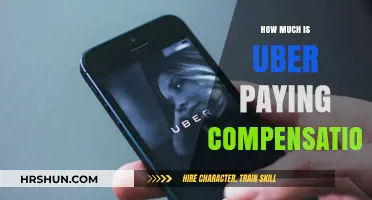 Decoding Uber's Compensation: What Drivers Really Earn