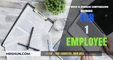 Understanding Workers' Compensation Insurance Costs for Solo Employees