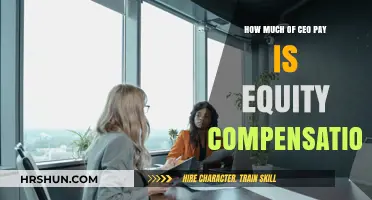 Decoding CEO Pay: The Equity Compensation Component