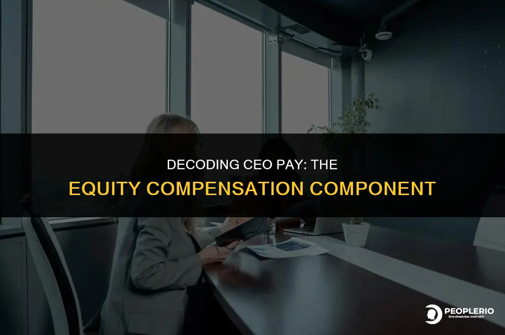 how much of ceo pay is equity compensation