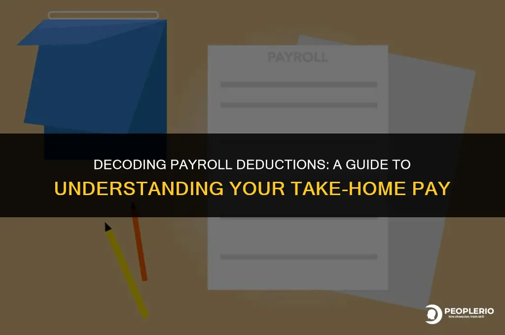 how much percent tage to take out from payroll check