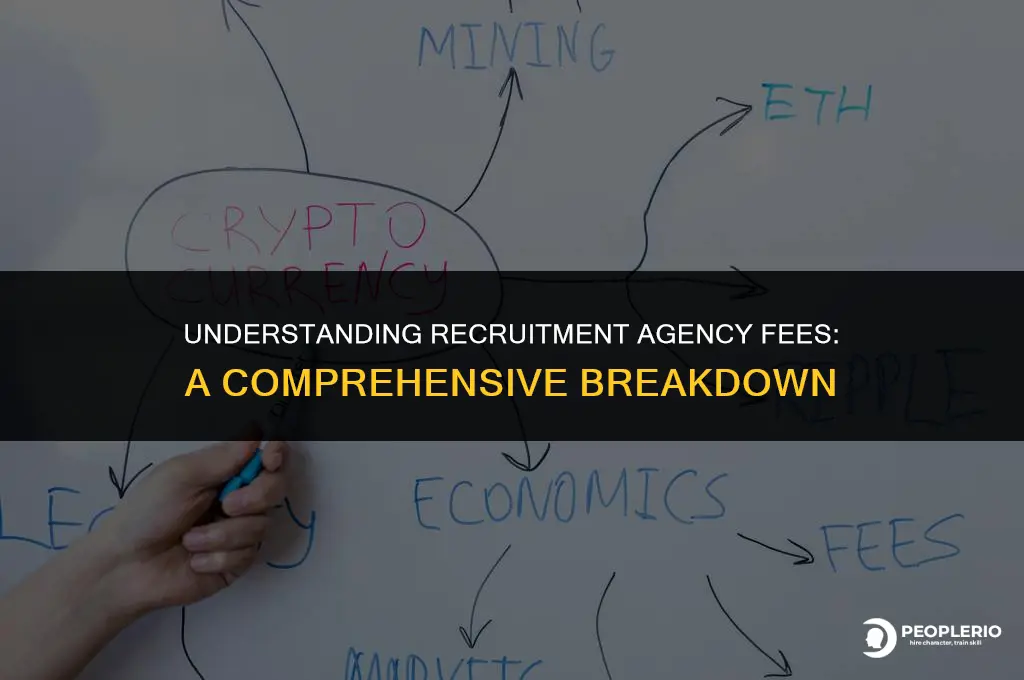 how much percentage do recruitment agencies take