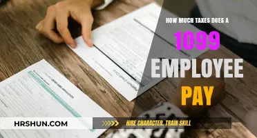 Decoding 1099 Taxes: A Comprehensive Guide for Freelancers