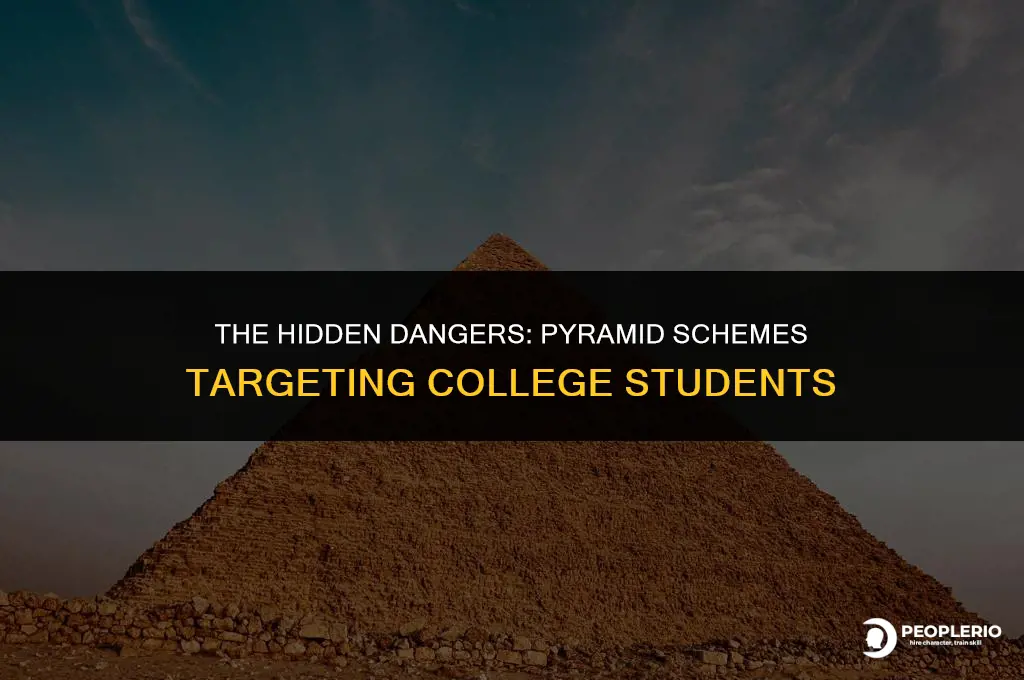 how often are college students recruited for a pyramid scheme