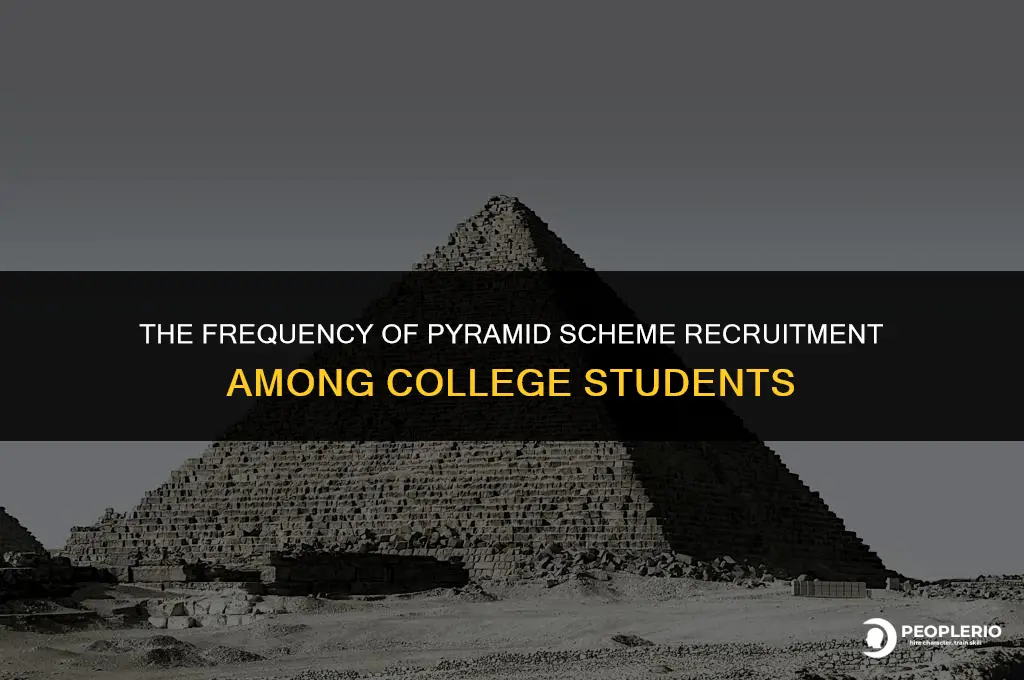 how often are college students recruited for a pyrimad scheme
