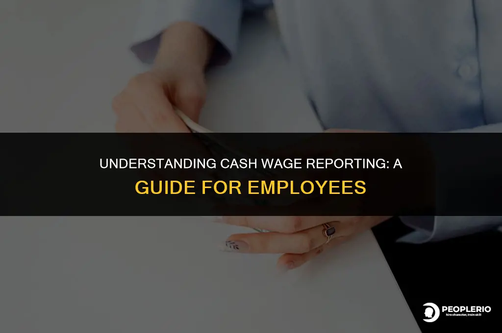 how often does an employee have to report cash wages