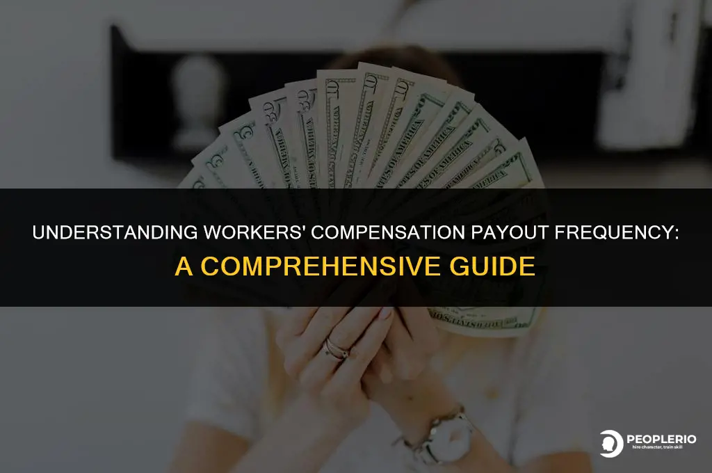 how often does workers compensation pay