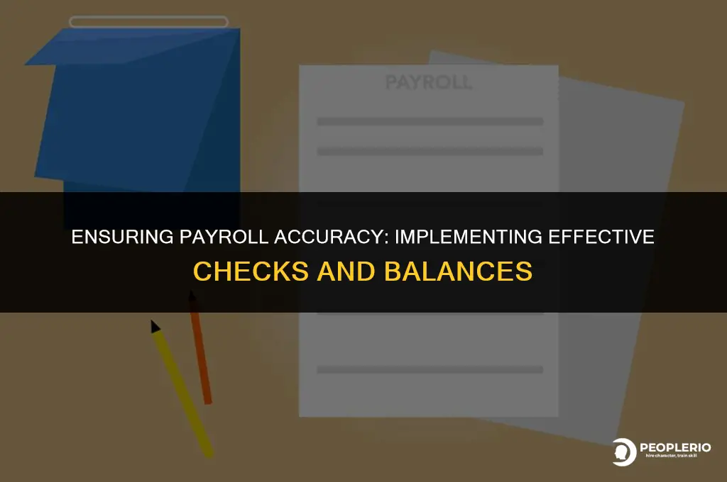 how to apply checks and balances to payroll