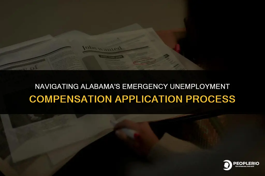 how to apply for emergency unemployment compensation in alabama