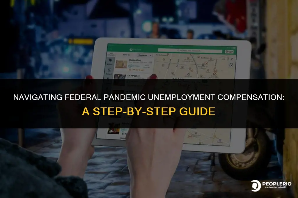 how to apply for federal pandemic unemployment compensation fpuc
