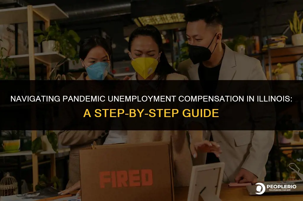 how to apply for federal pandemic unemployment compensation in Illinois