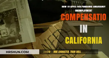 Navigating California's Pandemic Unemployment Compensation: A Step-by-Step Guide