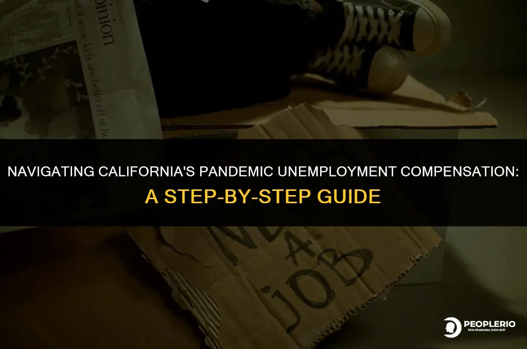 how to apply for pandemic emergency unemployment compensation in California
