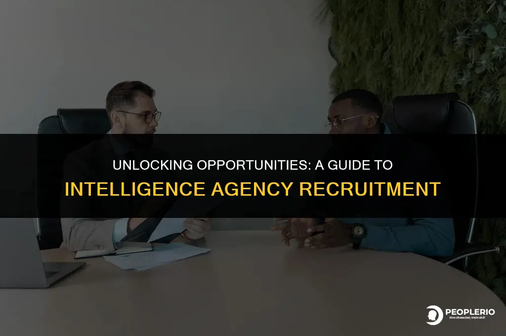 how to be recruited by intelligence agencies
