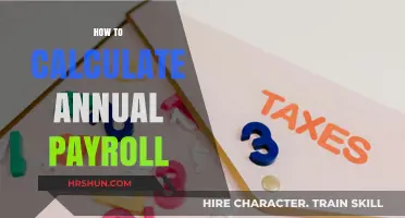 Mastering Payroll: A Step-by-Step Guide to Annual Calculations