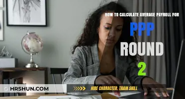 Calculating Average Payroll for PPP Round 2: A Step-by-Step Guide