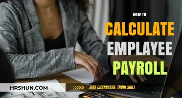 Mastering Payroll: A Step-by-Step Guide for Employers