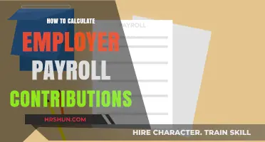 Decoding Employer Payroll Contributions: A Step-by-Step Guide