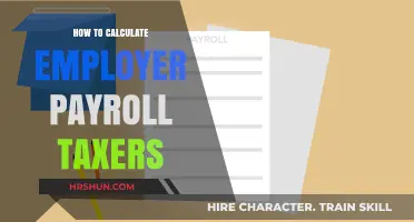 Mastering Payroll Taxes: A Comprehensive Guide for Employers