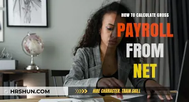 Decoding Payroll: The Simple Guide to Gross from Net