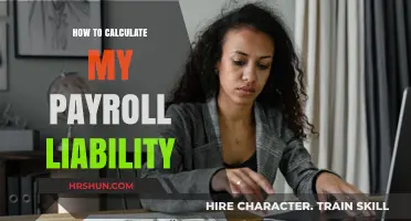 Mastering Payroll Liabilities: A Comprehensive Guide for Employers