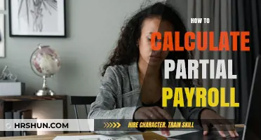 Mastering Partial Payroll: A Step-by-Step Guide for Employers