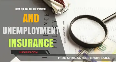 Mastering Payroll and Unemployment Insurance: A Comprehensive Guide