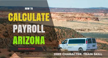 Mastering Payroll in Arizona: A Step-by-Step Guide