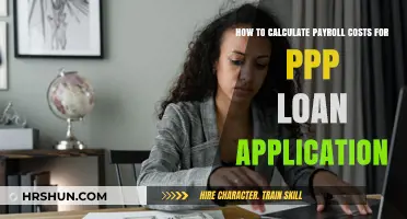 Calculating Payroll Costs for PPP Loan Applications: A Step-by-Step Guide
