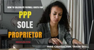 Calculating Payroll Costs for PPP Sole Proprietors: A Step-by-Step Guide
