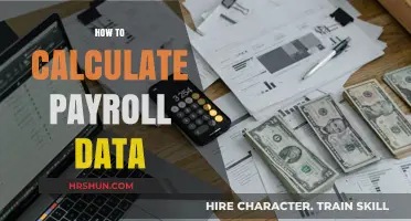 Mastering Payroll Data Calculation: A Step-by-Step Guide