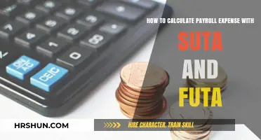 Mastering Payroll Expenses: SUTA and FUTA Calculation Guide