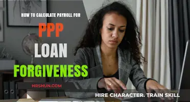Mastering Payroll Calculations for PPP Loan Forgiveness: A Guide