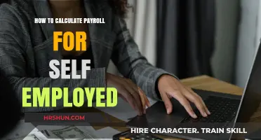 Mastering Payroll Calculations for the Self-Employed: A Comprehensive Guide