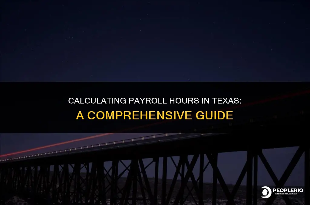 how to calculate payroll hours in texas