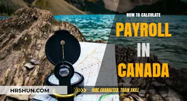 Mastering Canadian Payroll: A Step-by-Step Guide for Employers