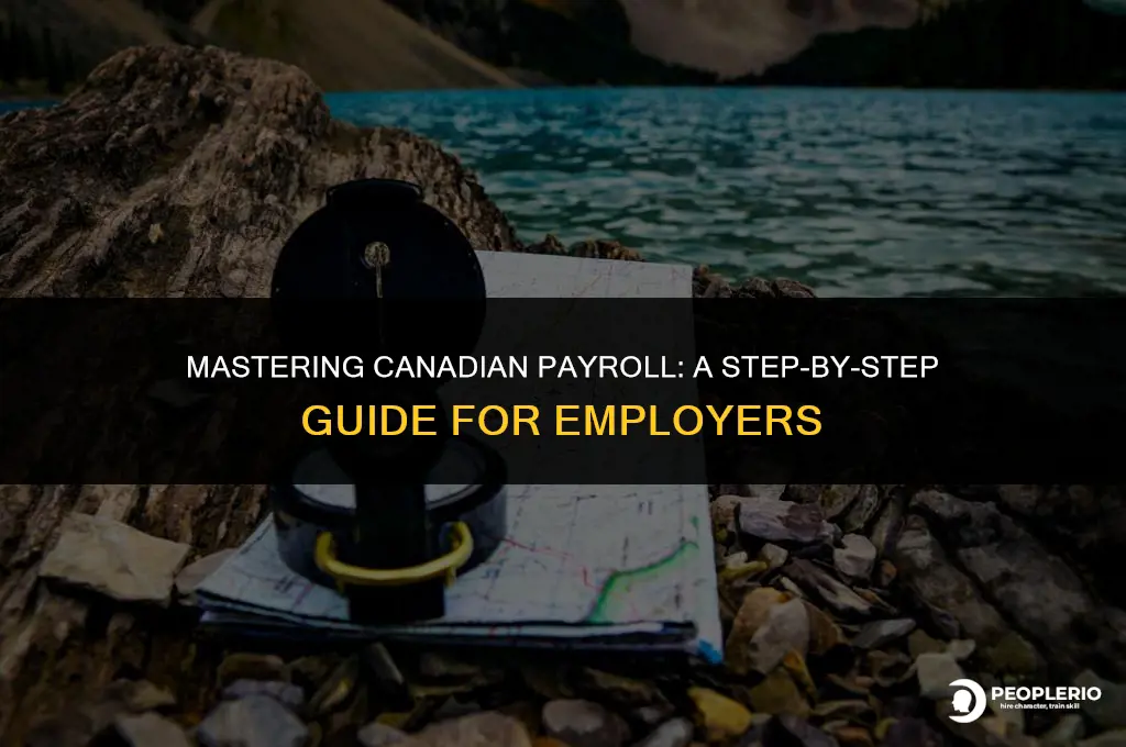 how to calculate payroll in canada