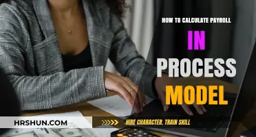 Streamlining Payroll: A Step-by-Step Guide to Process Modeling