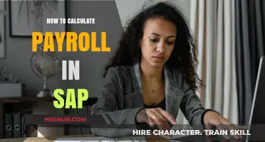 Mastering Payroll Calculations in SAP: A Step-by-Step Guide