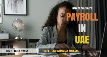 Mastering Payroll Calculations in the UAE: A Comprehensive Guide