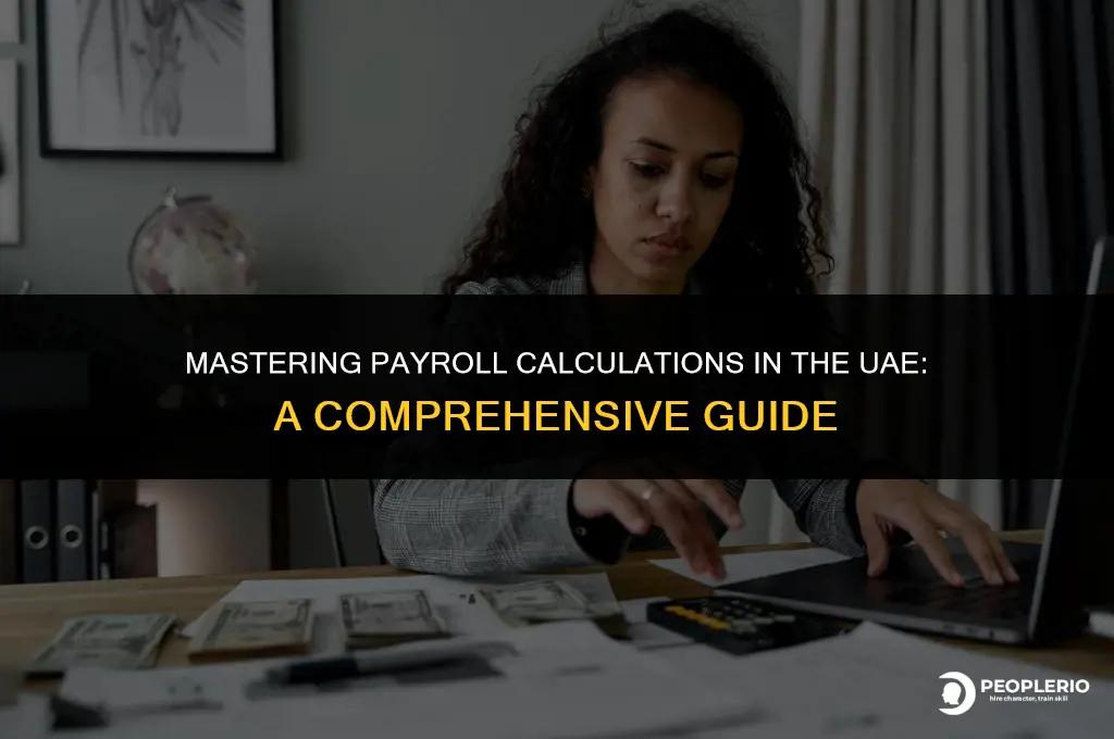 how to calculate payroll in uae